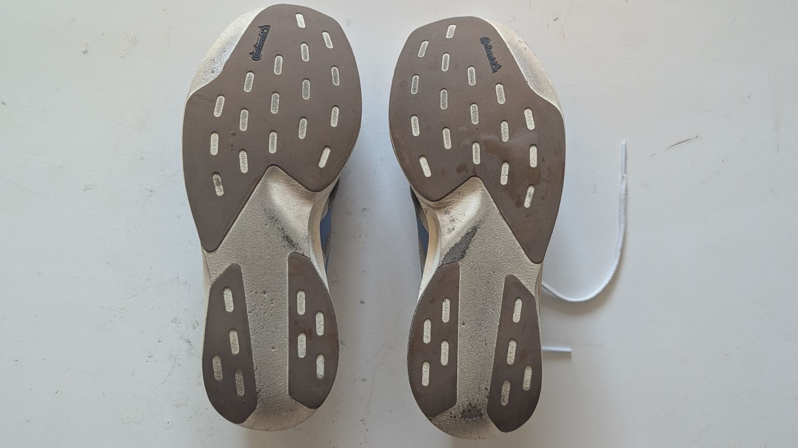 Continental tire and clear rubber outsoles on a pair of Adizero EVO SL running shoes upside down