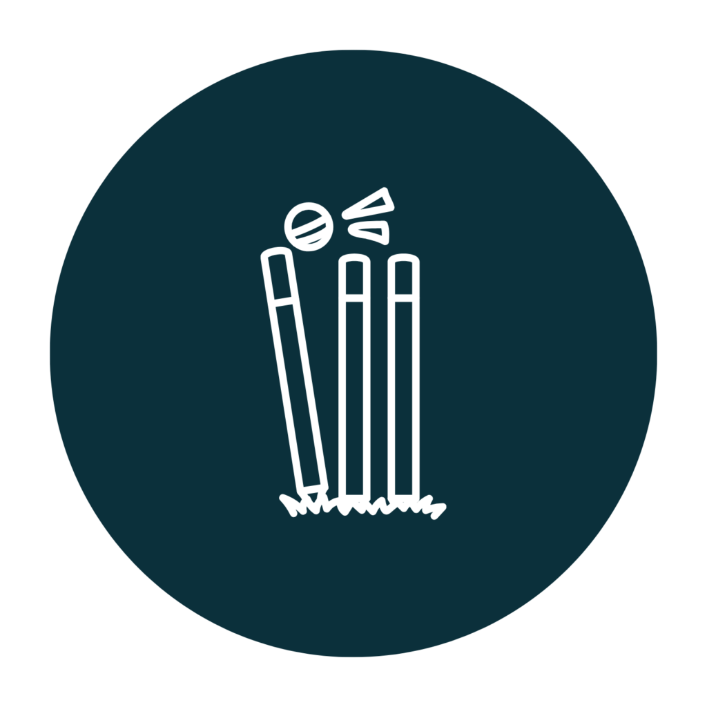 cricket stumps and balls