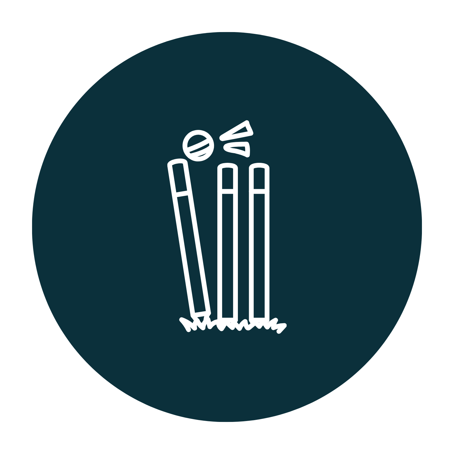 cricket stumps and balls