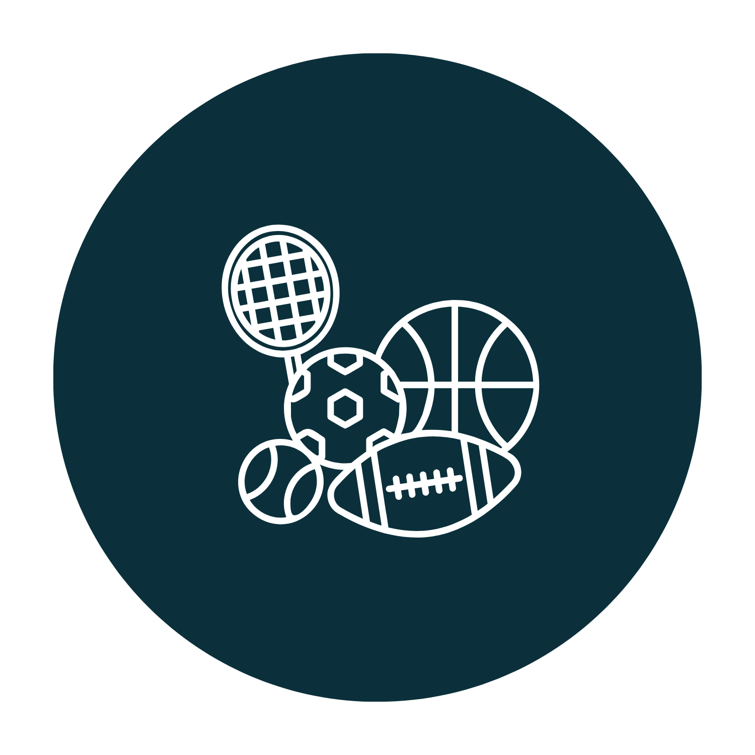 Collection of sports equipment balls and rackets