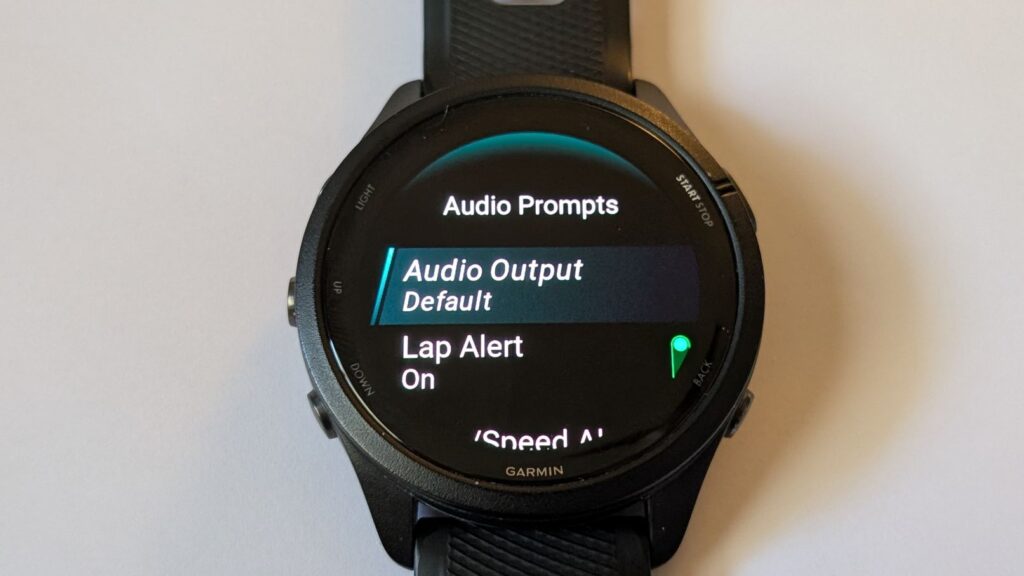Watch screen Audio Prompts output