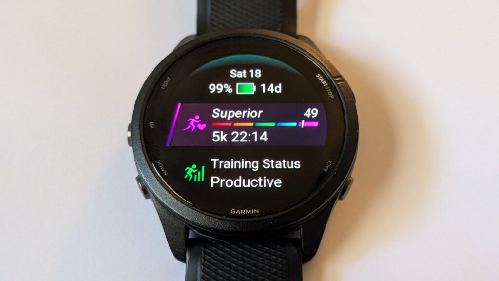 Garmin Forerunner 265 running watch Superior VO2 Max Purple Zone