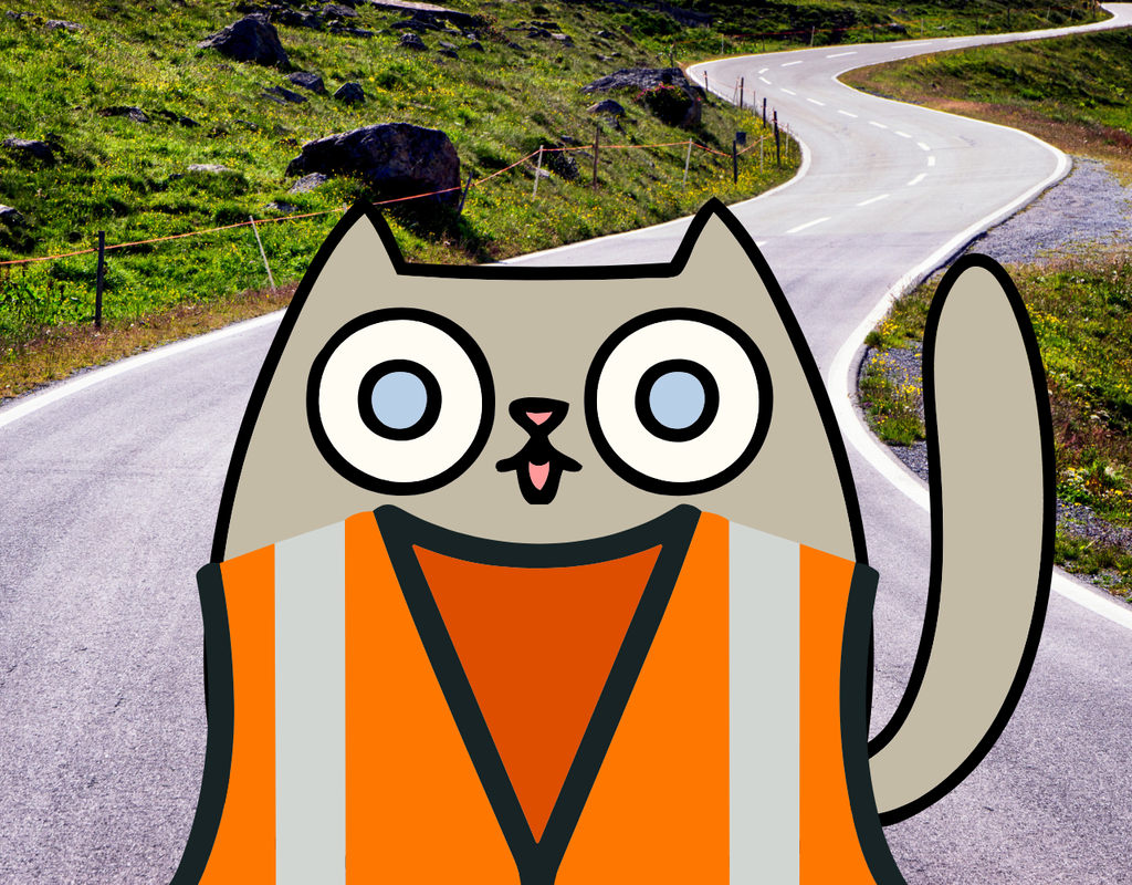 Cat cartoon wearing high-vis running gear for road safety.