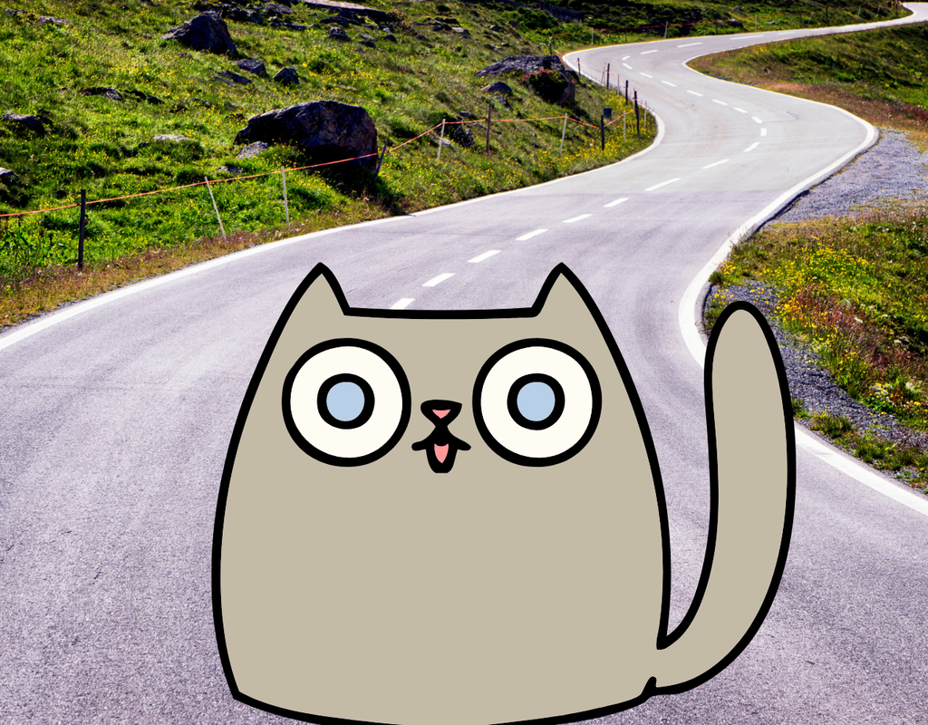 Staring cat cartoon on street showing road running safety tip of making eye contact.