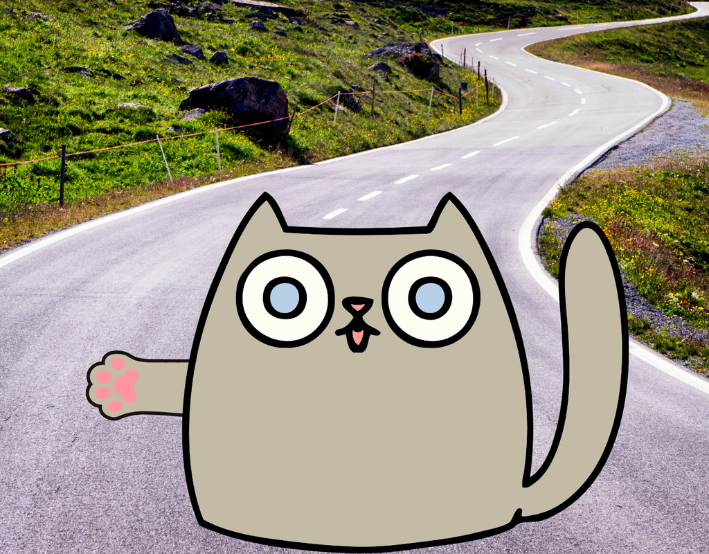 Cat cartoon on street with paw extended showing road running safety tip of using hand signals.