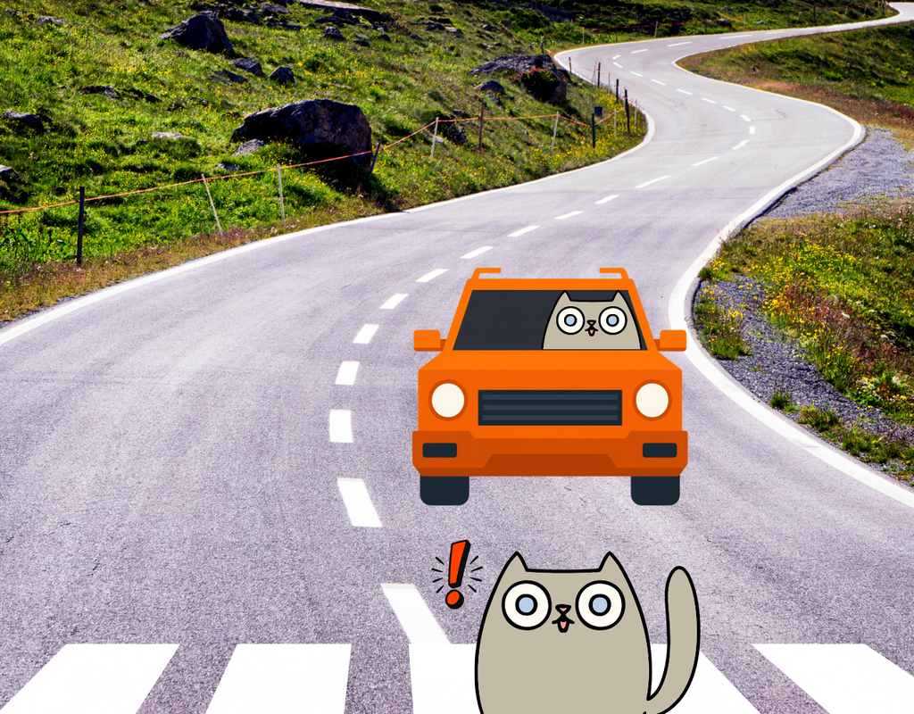Cat in orange car almost hitting cat crossing the street.